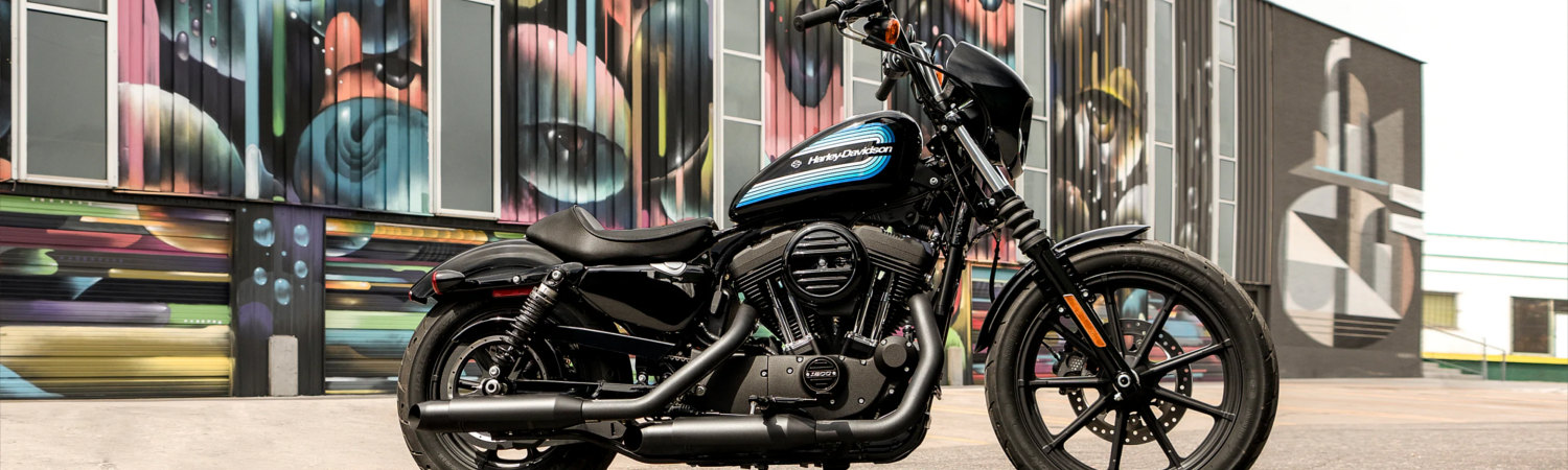 2021 Harley-Davidson® Iron 1200™ for sale in D & S Harley-Davidson®, Medford, Oregon